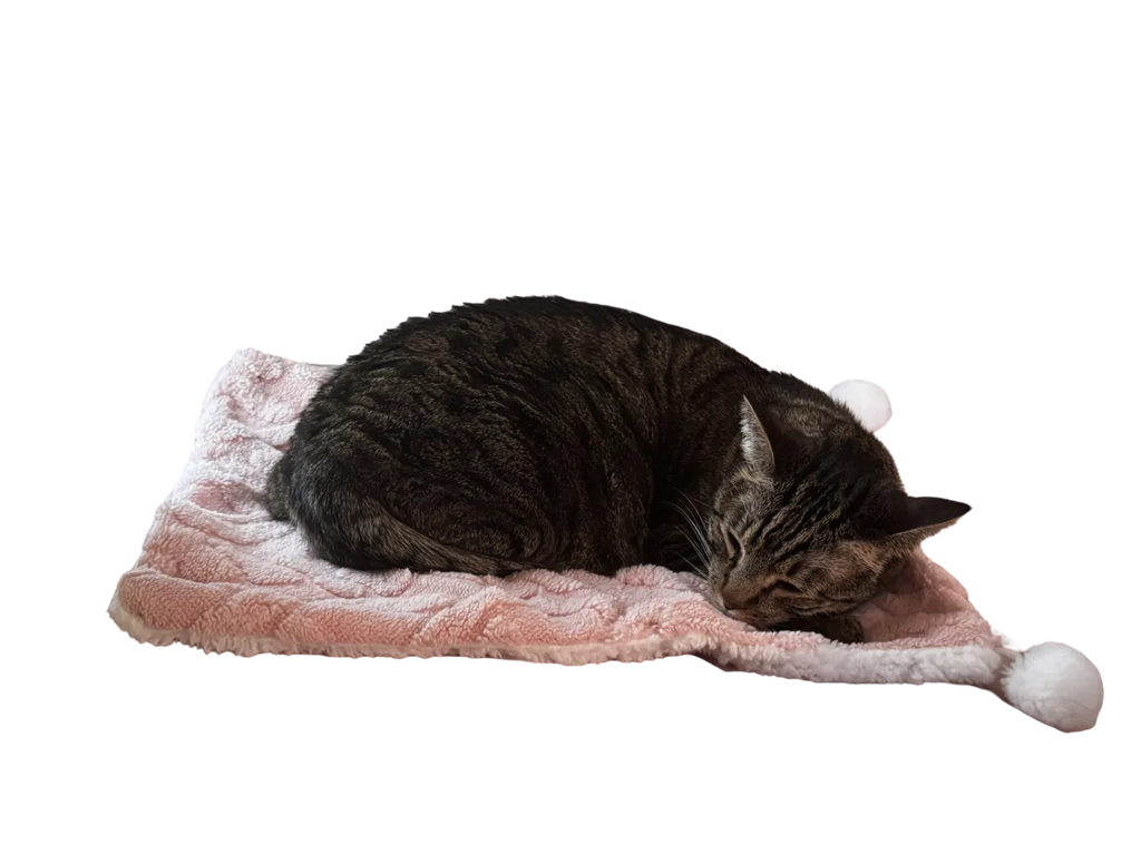 The Bubby Blanket