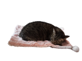 The Bubby Blanket