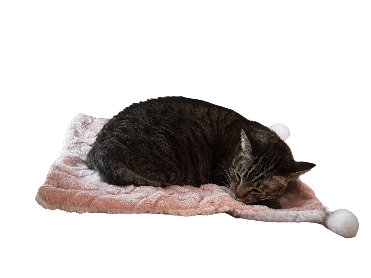 The Bubby Blanket