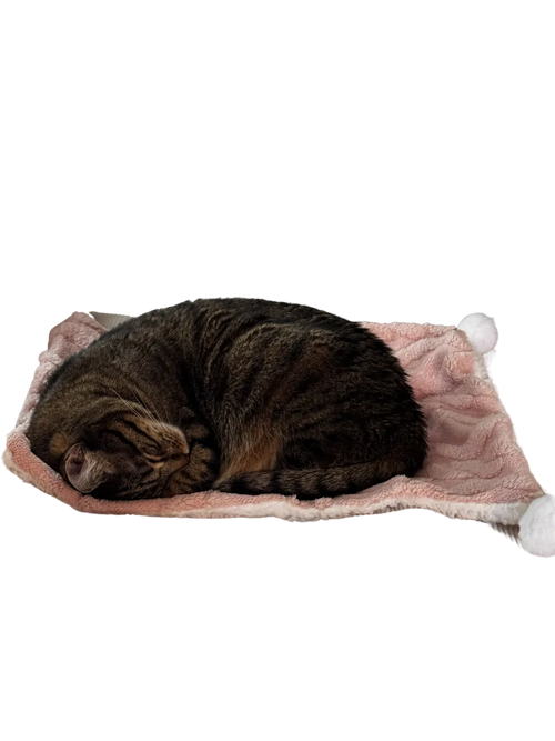 The Bubby Blanket
